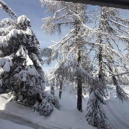 Trento, Monte Bondone, Casa Tipica Di Montagna Apartman Norge Kültér fotó