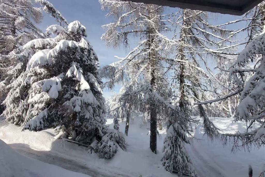 Trento, Monte Bondone, Casa Tipica Di Montagna Apartman Norge Kültér fotó