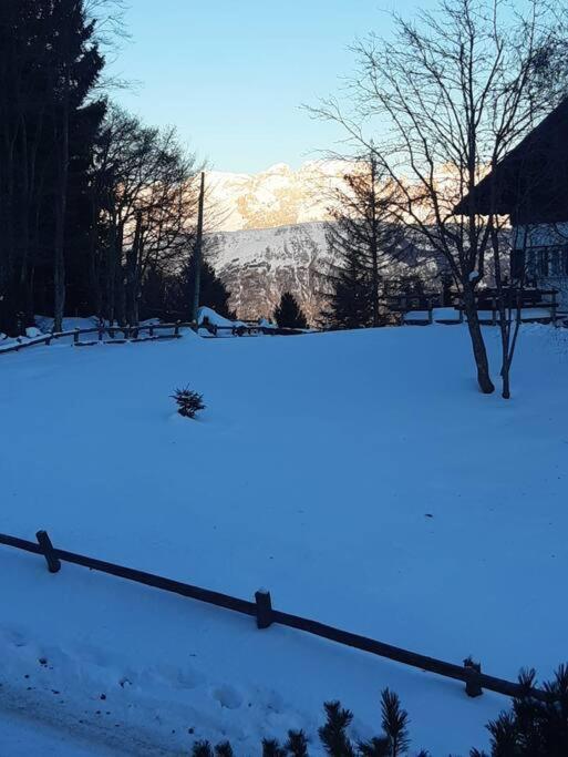 Trento, Monte Bondone, Casa Tipica Di Montagna Apartman Norge Kültér fotó